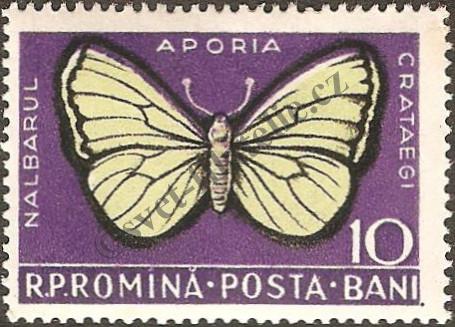 Catalog number: 1586/a