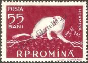 Stamp Romania Catalog number: 1690