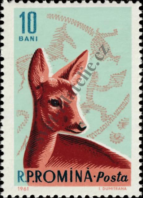 Catalog number: 1981
