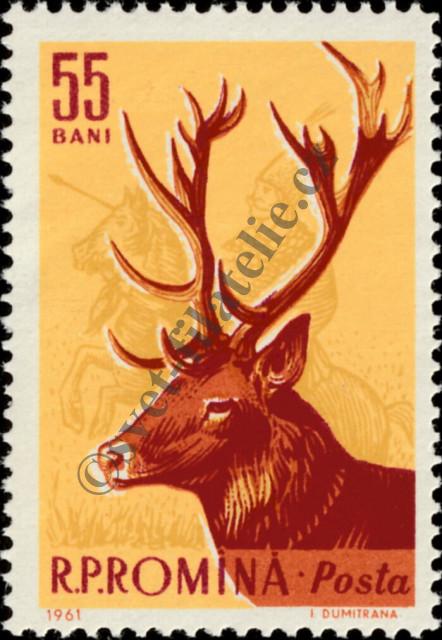 Catalog number: 1985