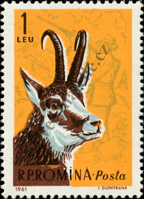 Catalog number: 1987