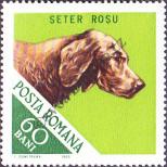 Stamp Romania Catalog number: 2474