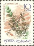 Stamp Romania Catalog number: 2526