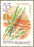 Stamp Romania Catalog number: 2529