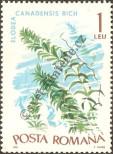 Stamp Romania Catalog number: 2530