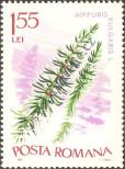 Stamp Romania Catalog number: 2531