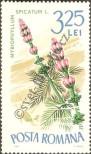 Stamp Romania Catalog number: 2532