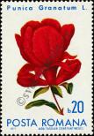 Stamp Romania Catalog number: 2940