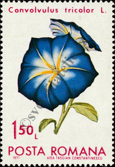 Catalog number: 2944
