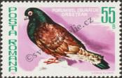 Stamp Romania Catalog number: 3778