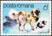 Stamp Romania Catalog number: 3857