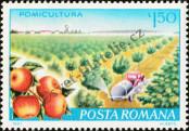 Stamp Romania Catalog number: 3875