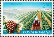 Stamp Romania Catalog number: 3876