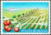 Stamp Romania Catalog number: 3877