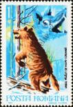 Stamp Romania Catalog number: 3908