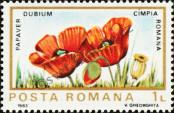 Stamp Romania Catalog number: 3983