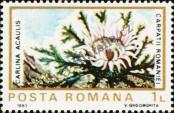 Stamp Romania Catalog number: 3984