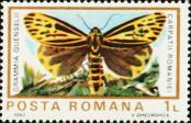 Stamp Romania Catalog number: 3988