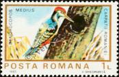 Stamp Romania Catalog number: 3989