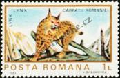 Stamp Romania Catalog number: 3990