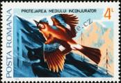 Stamp Romania Catalog number: 4034