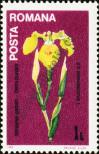 Stamp Romania Catalog number: 4036