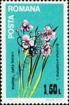 Stamp Romania Catalog number: 4037