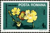 Stamp Romania Catalog number: 4039