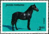 Stamp Romania Catalog number: 4080