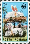 Stamp Romania Catalog number: 4107