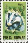 Stamp Romania Catalog number: 4137