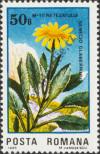 Stamp Romania Catalog number: 4172