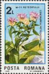 Stamp Romania Catalog number: 4174