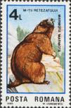 Stamp Romania Catalog number: 4176