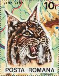 Stamp Romania Catalog number: 4178