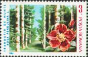 Stamp Romania Catalog number: 4242
