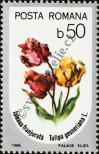 Stamp Romania Catalog number: 4268
