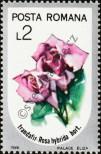 Stamp Romania Catalog number: 4270