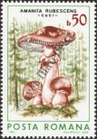 Stamp Romania Catalog number: 4288