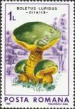 Stamp Romania Catalog number: 4289