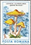 Stamp Romania Catalog number: 4291
