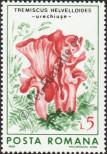 Stamp Romania Catalog number: 4293