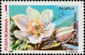 Stamp Romania Catalog number: 4373