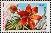 Stamp Romania Catalog number: 4376