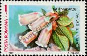 Stamp Romania Catalog number: 4377