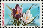 Stamp Romania Catalog number: 4378