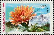 Stamp Romania Catalog number: 4379
