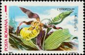 Stamp Romania Catalog number: 4380
