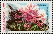Stamp Romania Catalog number: 4381