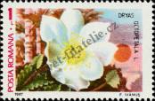 Stamp Romania Catalog number: 4382